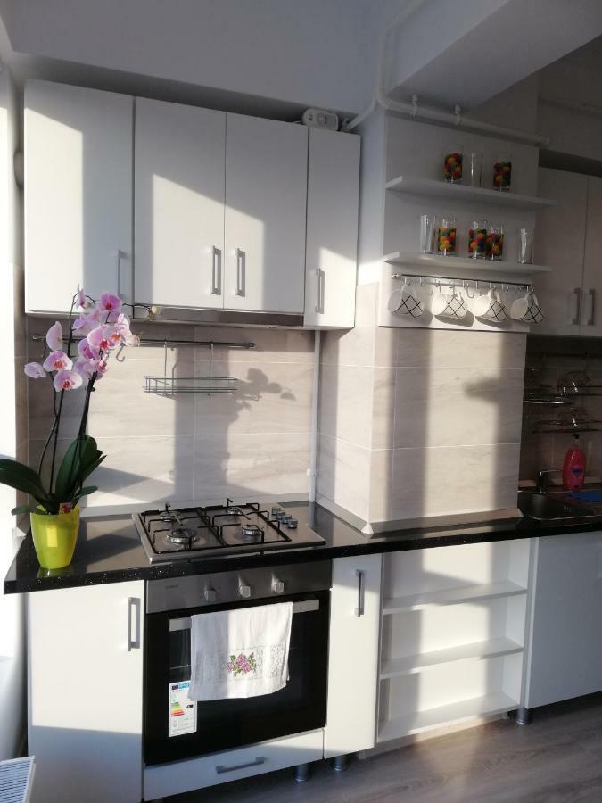 Kolonaki Domus Apartment Iasi Ngoại thất bức ảnh